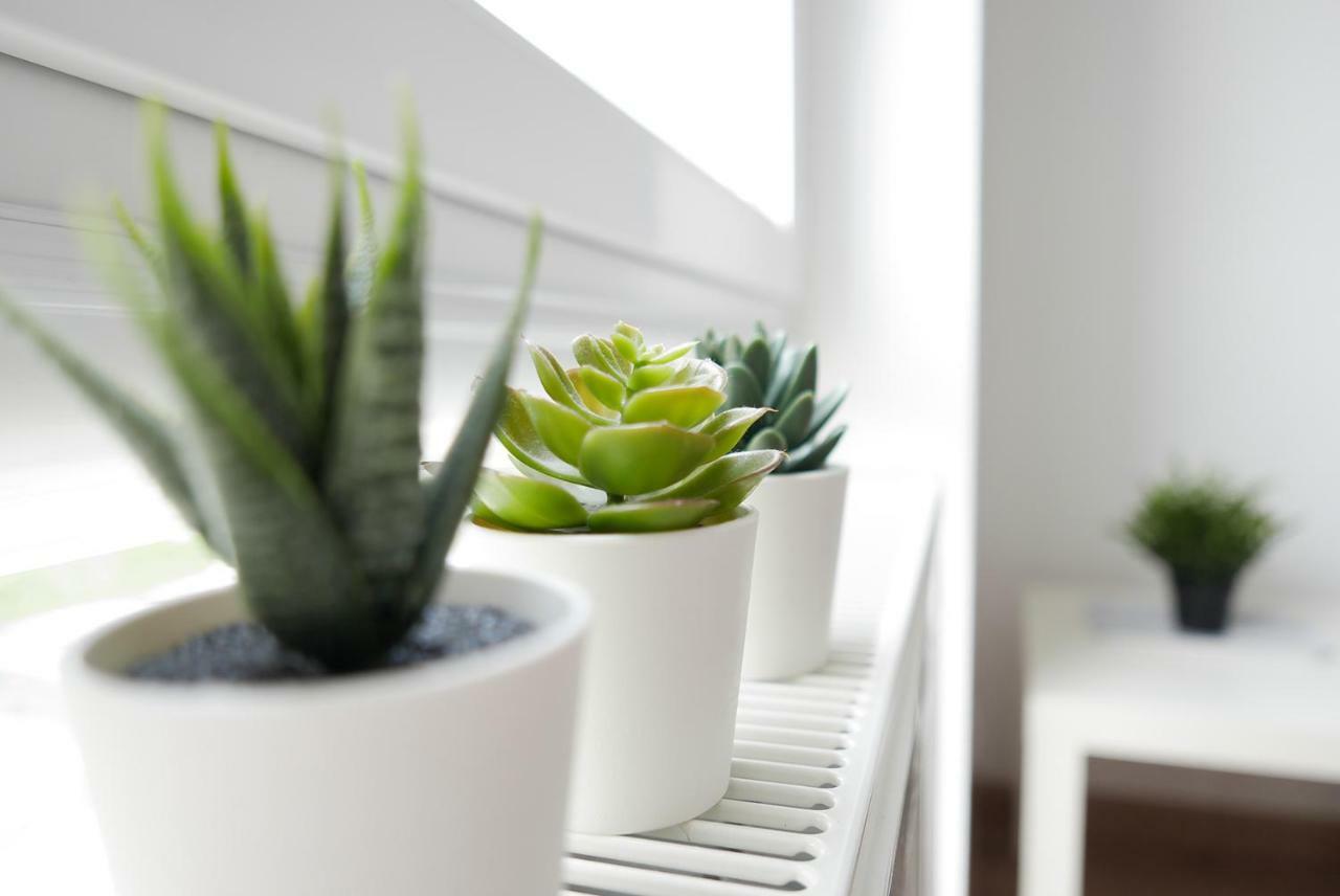 Apartament Jantarowa Lublin Kültér fotó