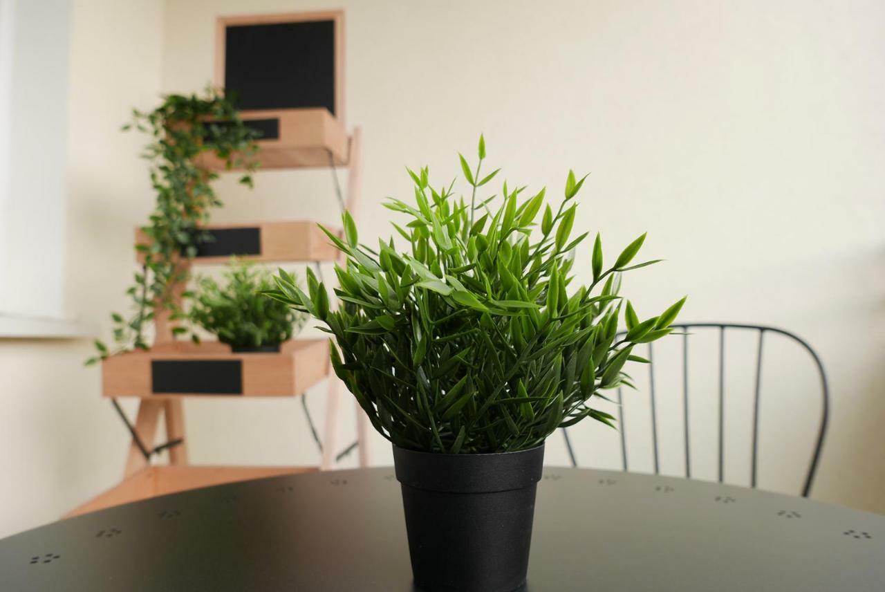 Apartament Jantarowa Lublin Kültér fotó